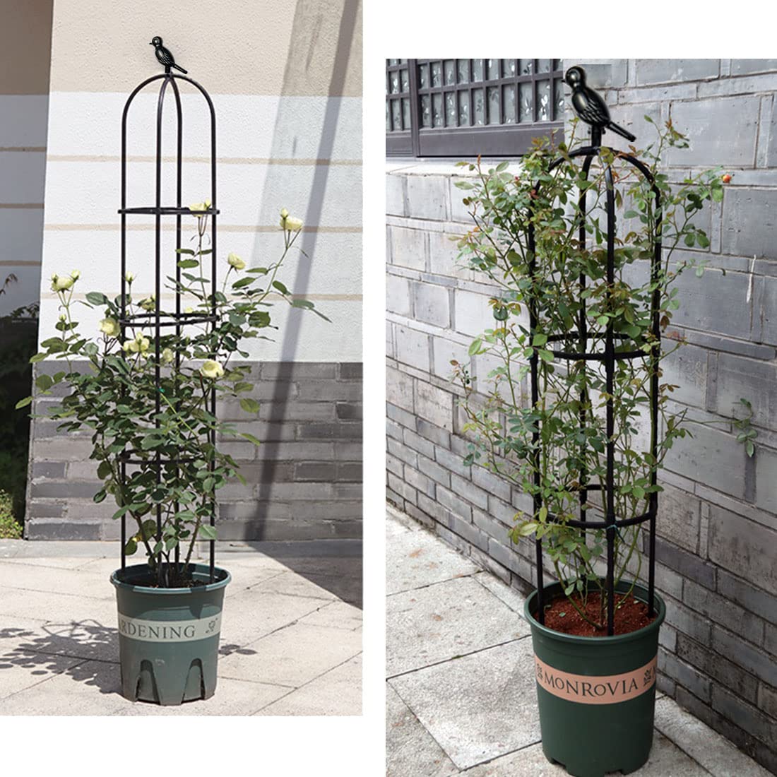 CEDOCSH tomato cage for potted plants supports vines indoors or outdoors.