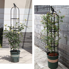 CEDOCSH tomato cage for potted plants supports vines indoors or outdoors.