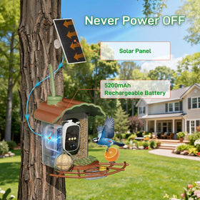 Centvicam bird feeder 160-degree view enables comprehensive backyard watching
