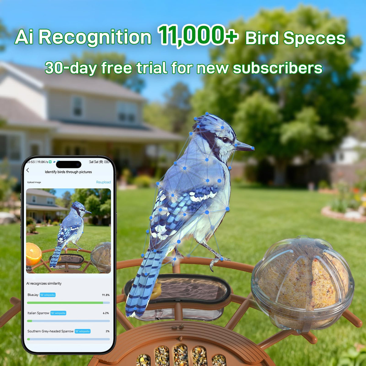 Centvicam AI recognition identifies bird species instantly for educational viewing