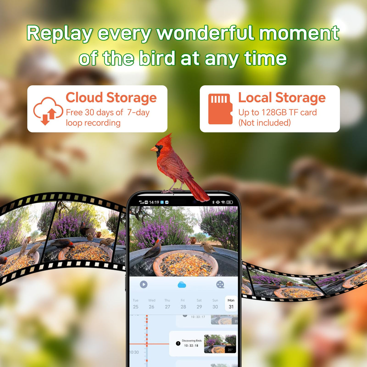 Centvicam cloud and local storage keeps precious bird moments