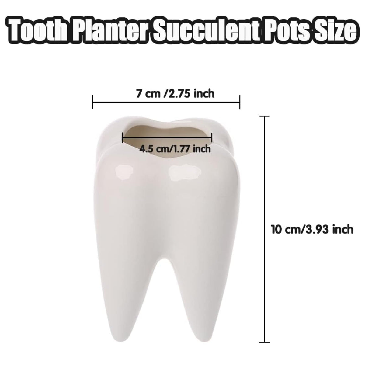 Ceonam teeth-shaped planter featuring a compact succulent for desk decor.
