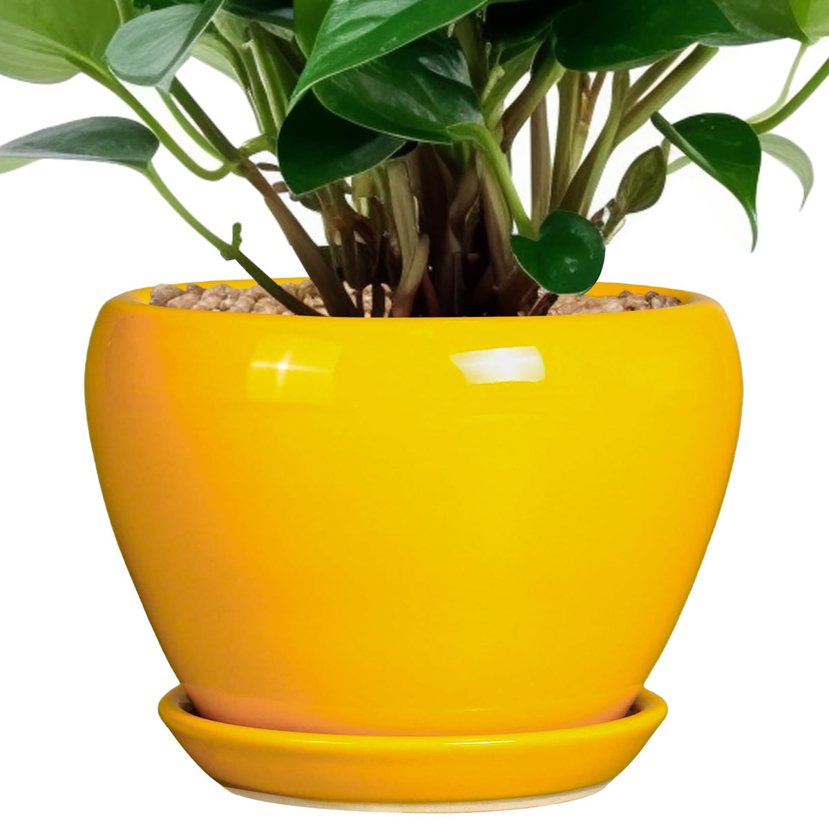Ceramicfor ceramic pot with yellow glaze, front view, ideal for indoor plant styling