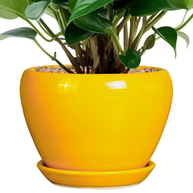 Ceramicfor ceramic pot with yellow glaze, front view, ideal for indoor plant styling