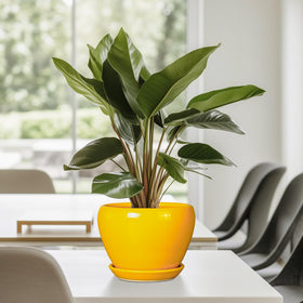 Ceramicfor patio-ready pot with yellow glaze for outdoor accents