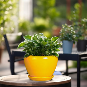 Ceramicfor yellow glaze pot with saucer prevents desk mess