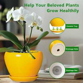 Ceramicfor table-ready planter, 6.2-inch diameter for compact spaces