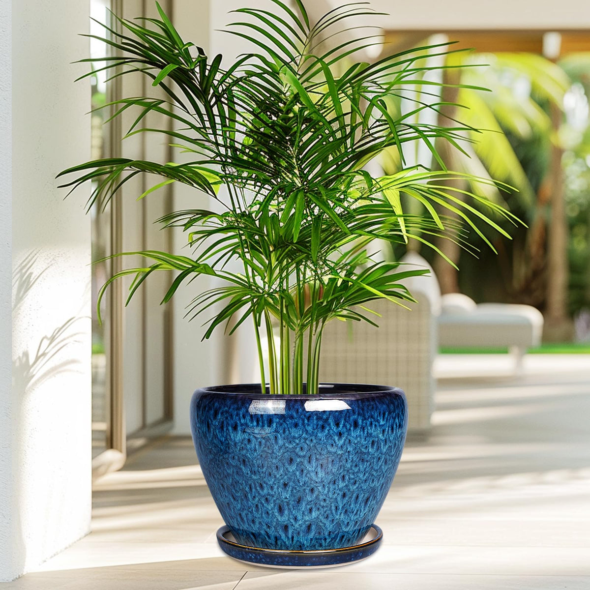 Large blue planter from Ceramicfor for garden or patio use.