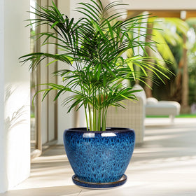 Large blue planter from Ceramicfor for garden or patio use.
