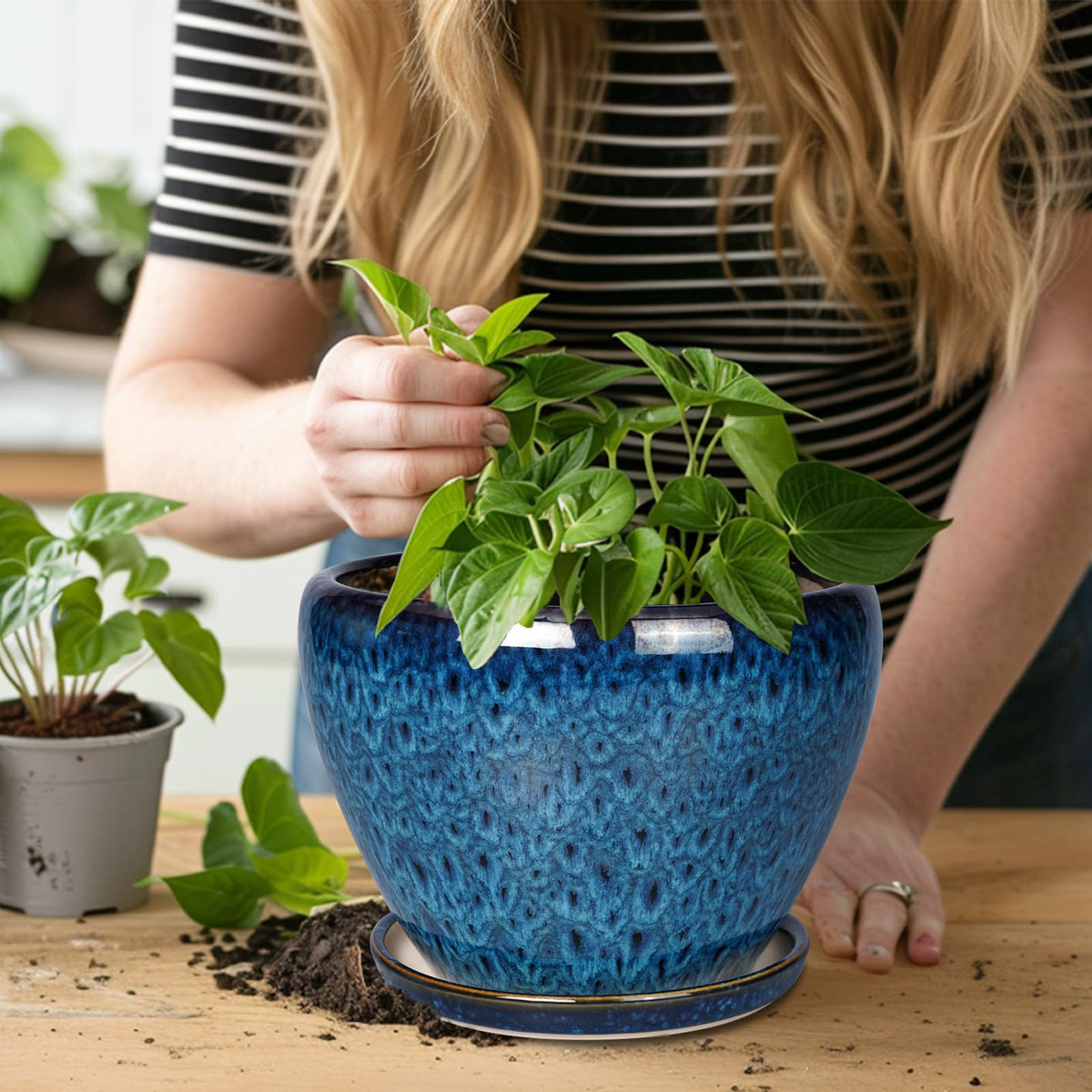 Modern glazed Ceramicfor planter in blue placed on a table.
