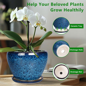 Ceramicfor planter in blue suitable for indoor and outdoor use.