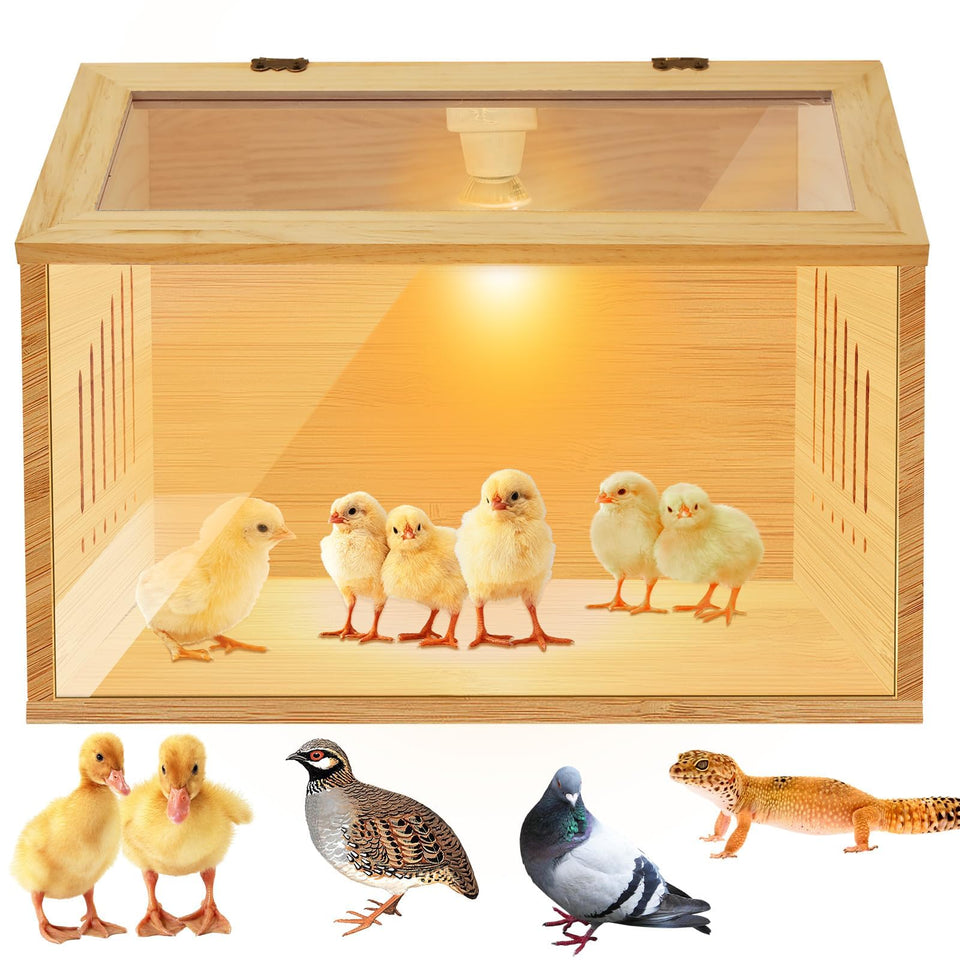 CERISURIO brooder box keeps chicks warm with adjustable heater for indoor brooding.