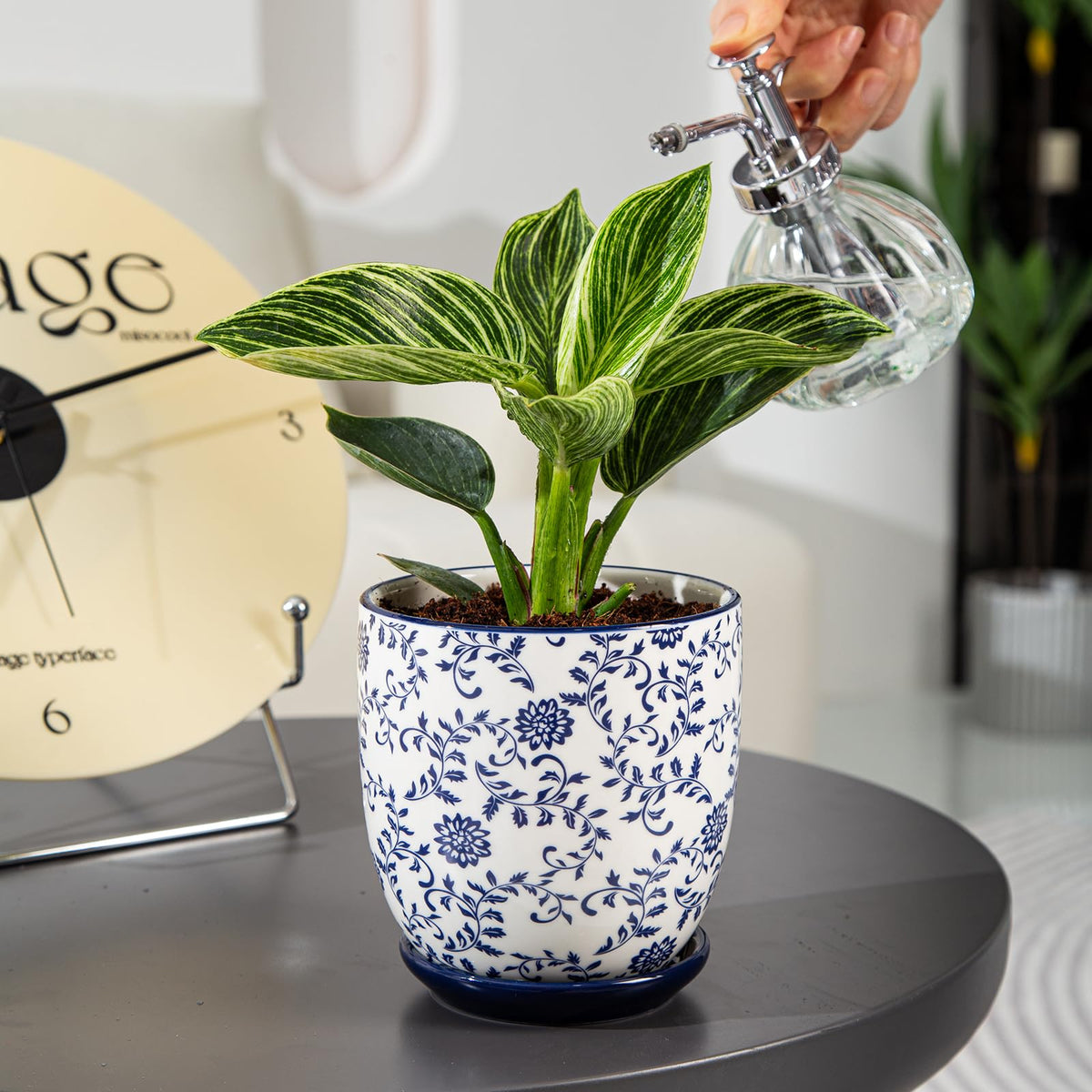 Cerkik gift ready planter set for birthdays or housewarmings