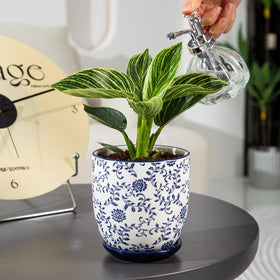 Cerkik gift ready planter set for birthdays or housewarmings