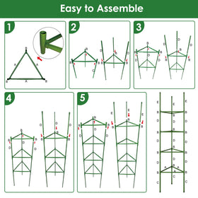CEWOR adjustable height support adapts as plants grow taller