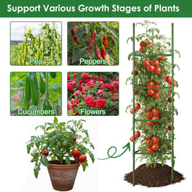 CEWOR multi-purpose climbing trellis suits tomatoes, cucumbers, and beans