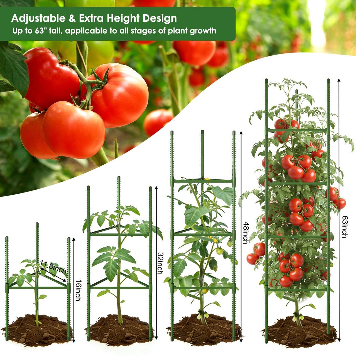 CEWOR triangle trellis structure keeps vines elevated for airflow