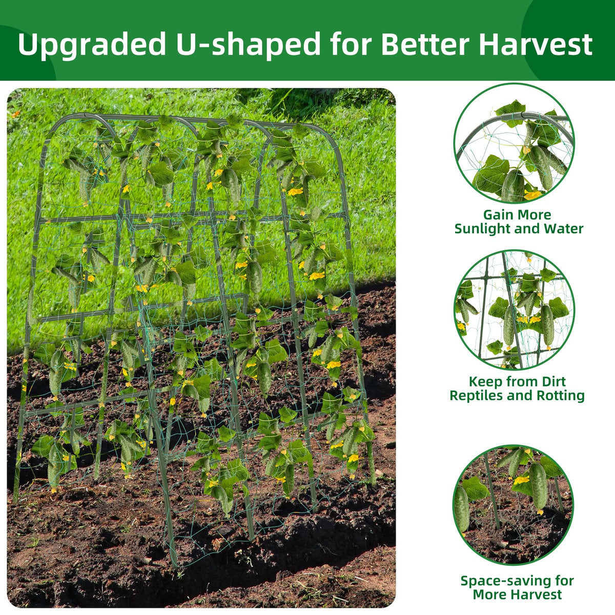 CFKEMZY included clips and ties support quick securing of vines and nets