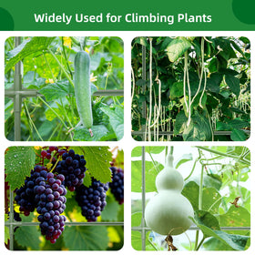 CFKEMZY garden setup boosts urban beds with spacious climbing support