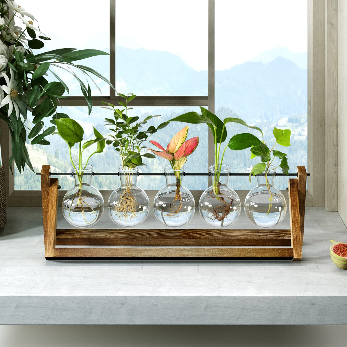 CFMOUR desk glass bulbs setup providing bright space for water-rooted plants