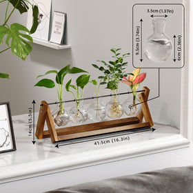 CFMOUR easy-assembly glass terrarium ready for quick setup