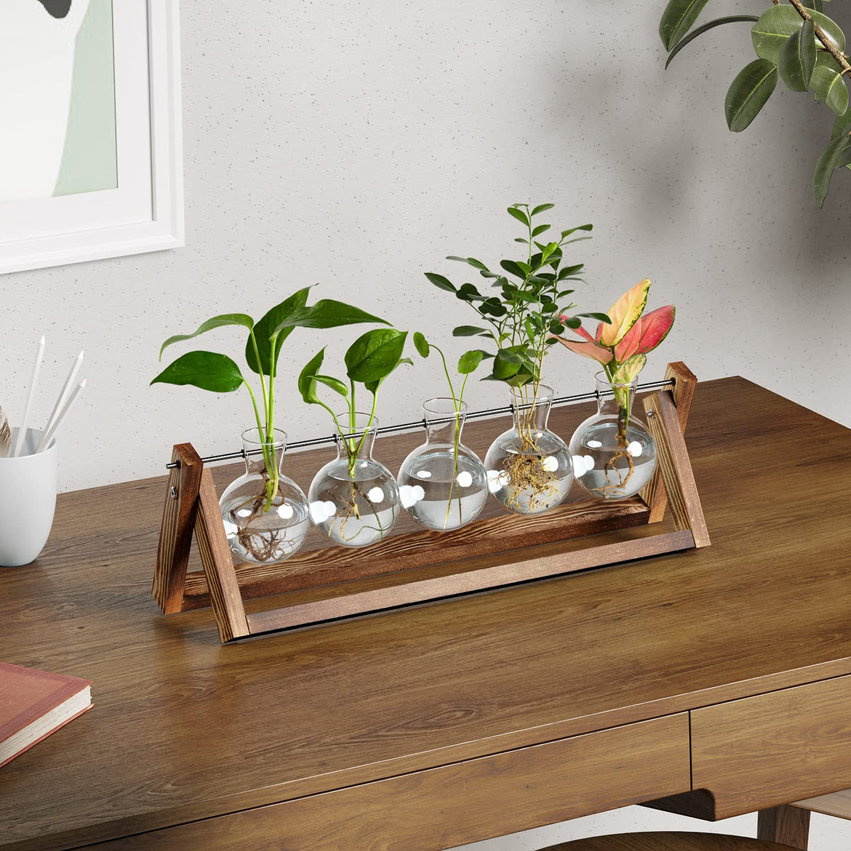 CFMOUR five-bulb vase propagation station showcasing versatile plant display options