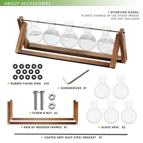 CFMOUR office and home garden display featuring the wooden stand terrarium