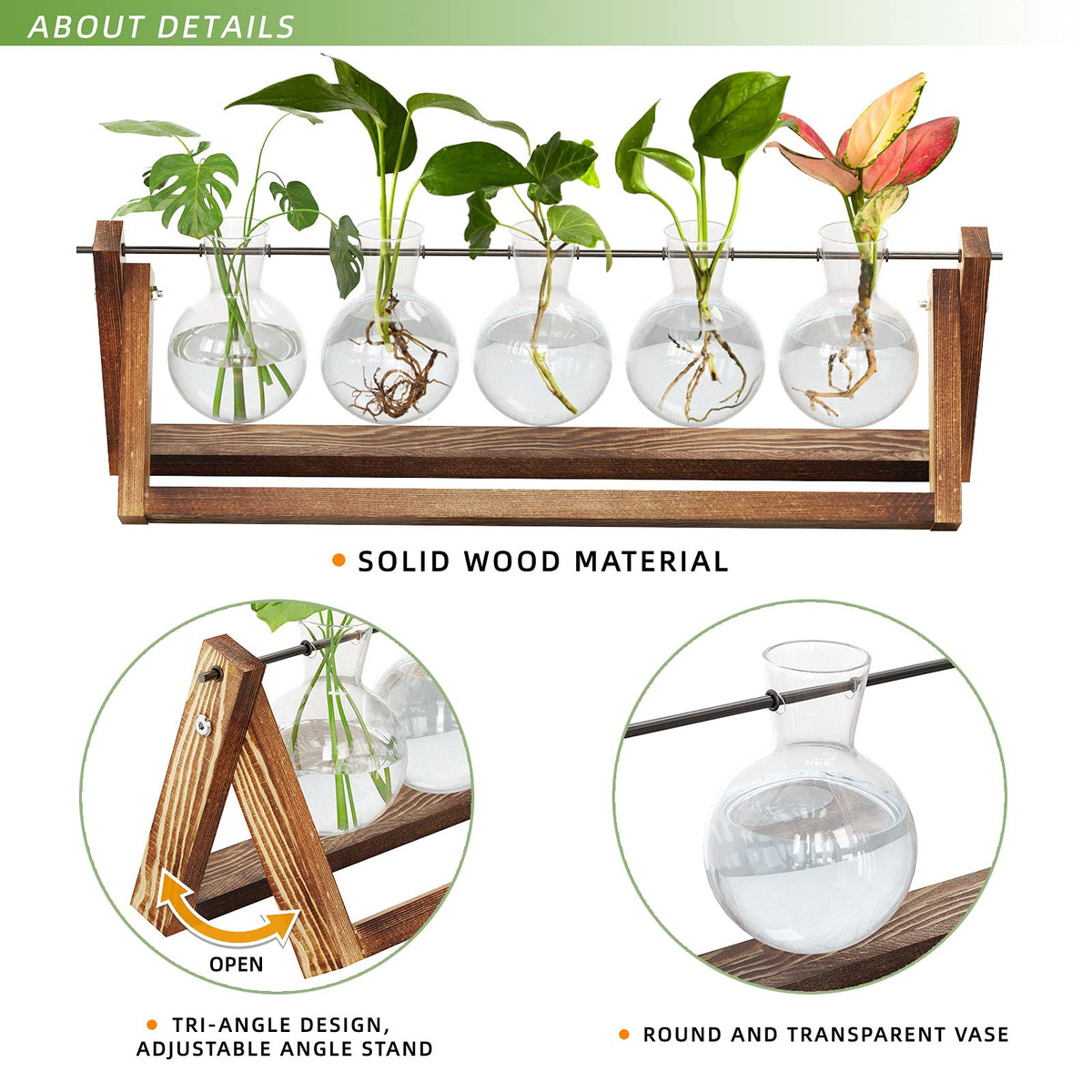 CFMOUR swivel metal holder enabling easy rotation of the terrarium display