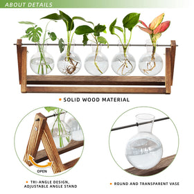 CFMOUR swivel metal holder enabling easy rotation of the terrarium display