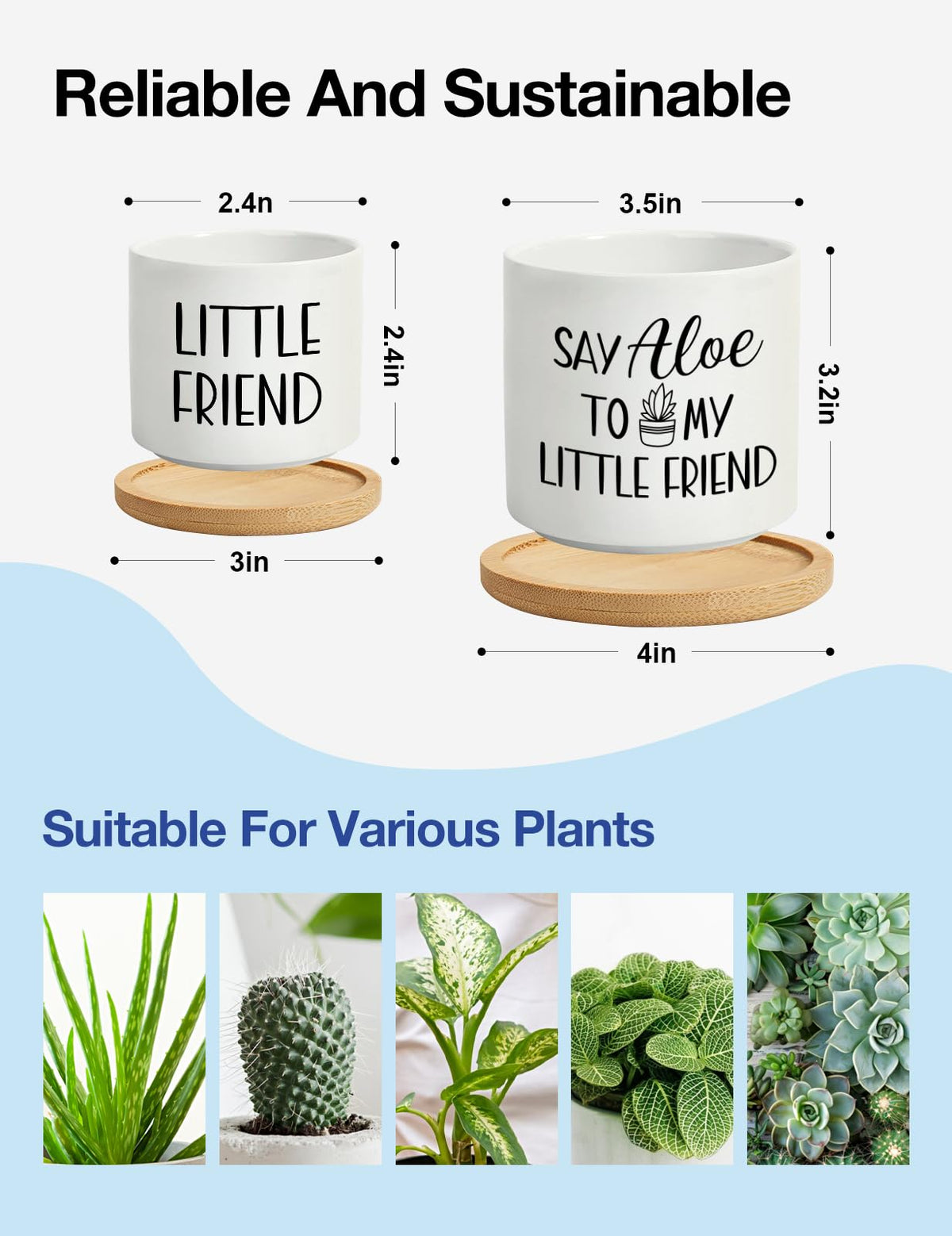Cgvovgr Little Friend small pot close-up for compact succulent display