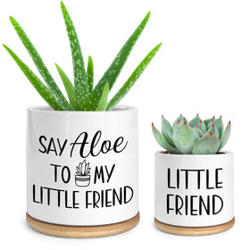 Cgvovgr Say Aloe to My Little Friend pot close-up with glossy ceramic, ideal desk decor