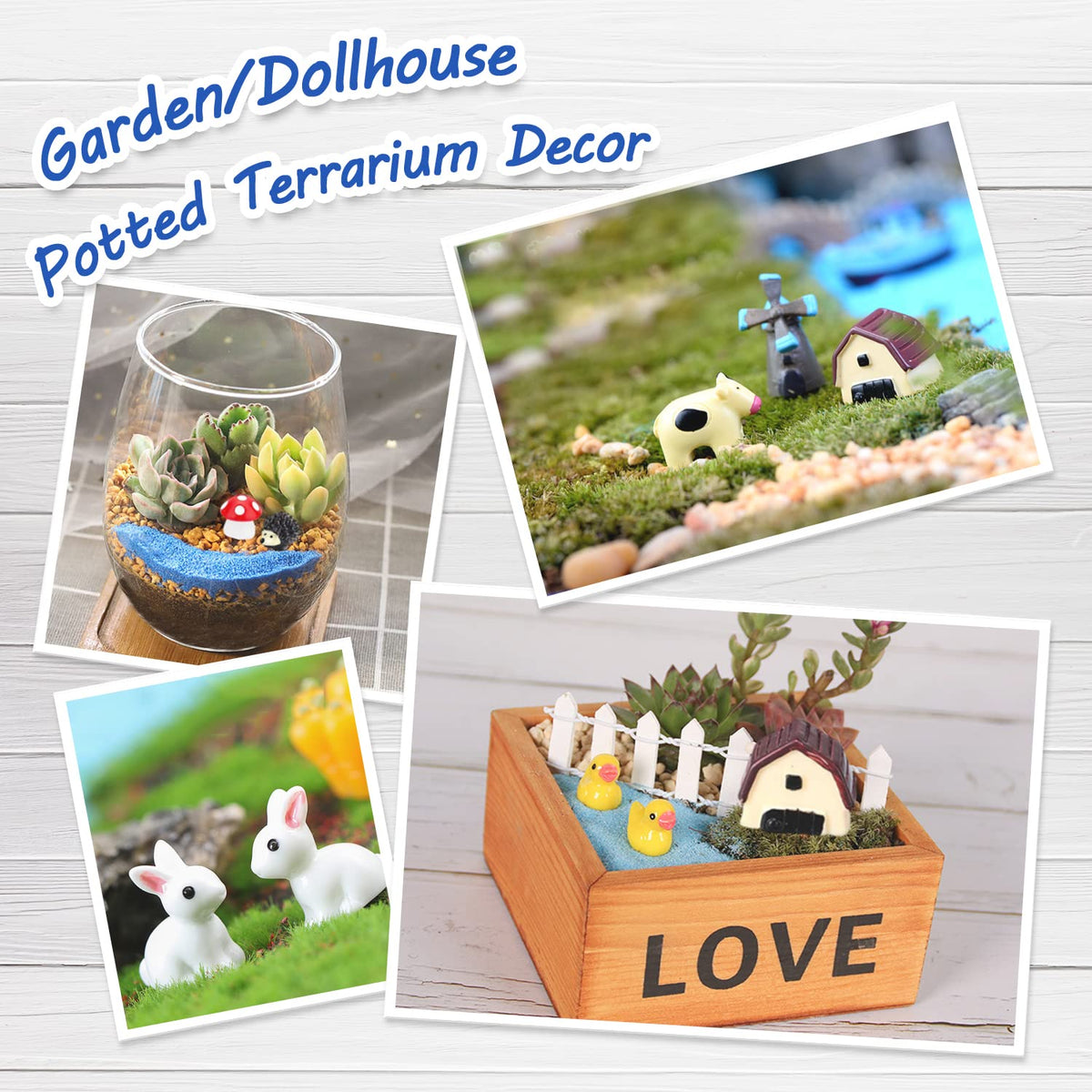 CHAKANLX rose flowers miniatures add color and whimsy to pots.