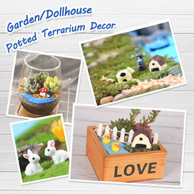 CHAKANLX rose flowers miniatures add color and whimsy to pots.