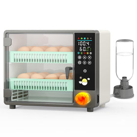 Chalixion 24-eggs incubator front view with stable temperature monitoring.