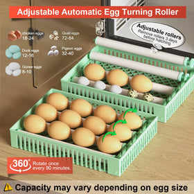 Chalixion five-incubation-modes demonstrate automatic stage adjustments.