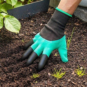 Chargenyang gardening gloves protect hands during rose pruning with strong grip.