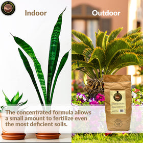 Charlie's Vegan Compost packaging highlights sustainable gardening benefits.