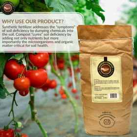 Charlie's Vegan Compost used in potted plants for vibrant growth.