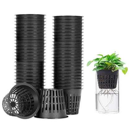 CHTASO 3-inch net pot front view, sturdy and reusable for hydroponic setups.