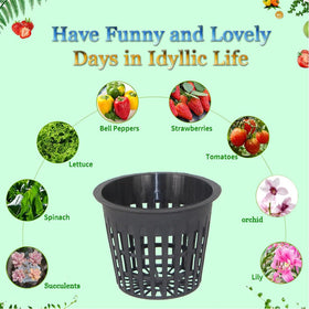 CHTASO net pot in hydroponic system with clay pebbles and media.