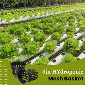 CHTASO net pot side view, durable design for reliable root containment.