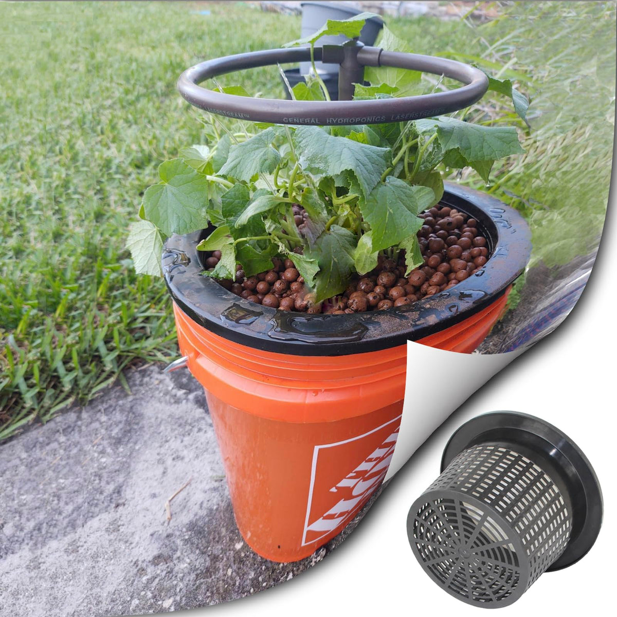 CHTASO HG10MESHPOT 12.3-inch wide lip for container compatibility