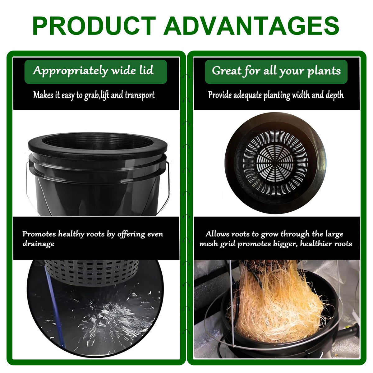 CHTASO HG10MESHPOT ideal for hydroponics with tomatoes and lettuce growth