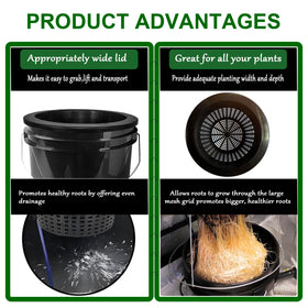 CHTASO HG10MESHPOT ideal for hydroponics with tomatoes and lettuce growth