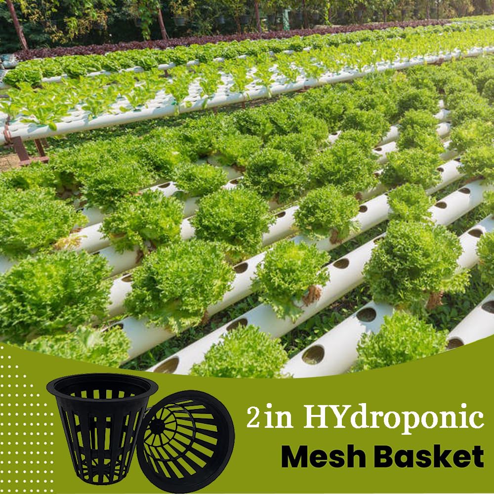 CHTASO slotted mesh net pots enhance aeration and drainage for healthy roots.