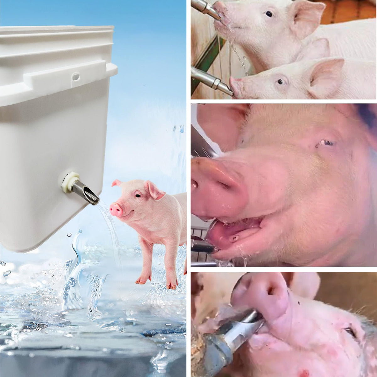 CHCTD stainless steel pig nipple, 2.4 inches long, durable