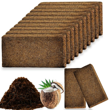 Cheardia coconut coir brick expands in water for lightweight planting substrate.