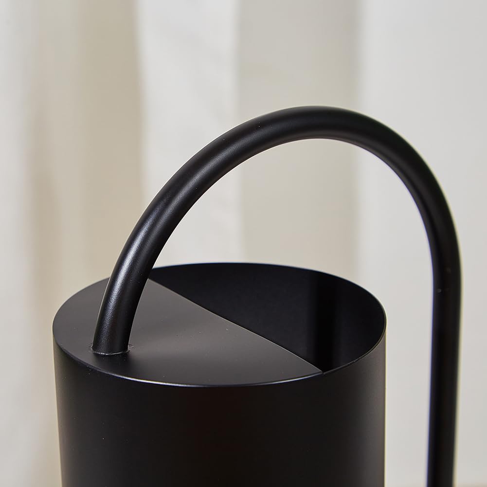Chemlliy long-spout watering can ideal for tabletop bonsai care