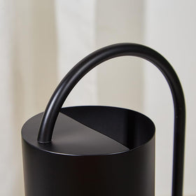 Chemlliy long-spout watering can ideal for tabletop bonsai care