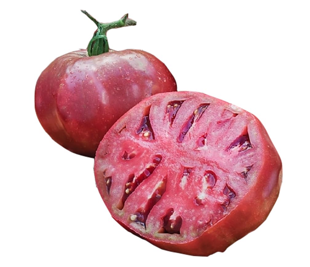Cherokee Purple heirloom tomato close-up fruit showing deep color and rich sweetness